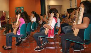 Folk music week with autoharps